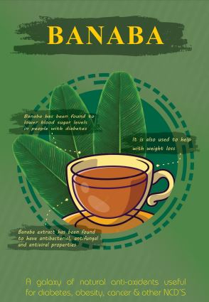 Banaba Leaves Tea with Stevia l No Additives l No Caffeine l Vegan - Premium Teas from Feel Great Tea Co. - Just 1149! Shop now at Feel Great Tea Co.