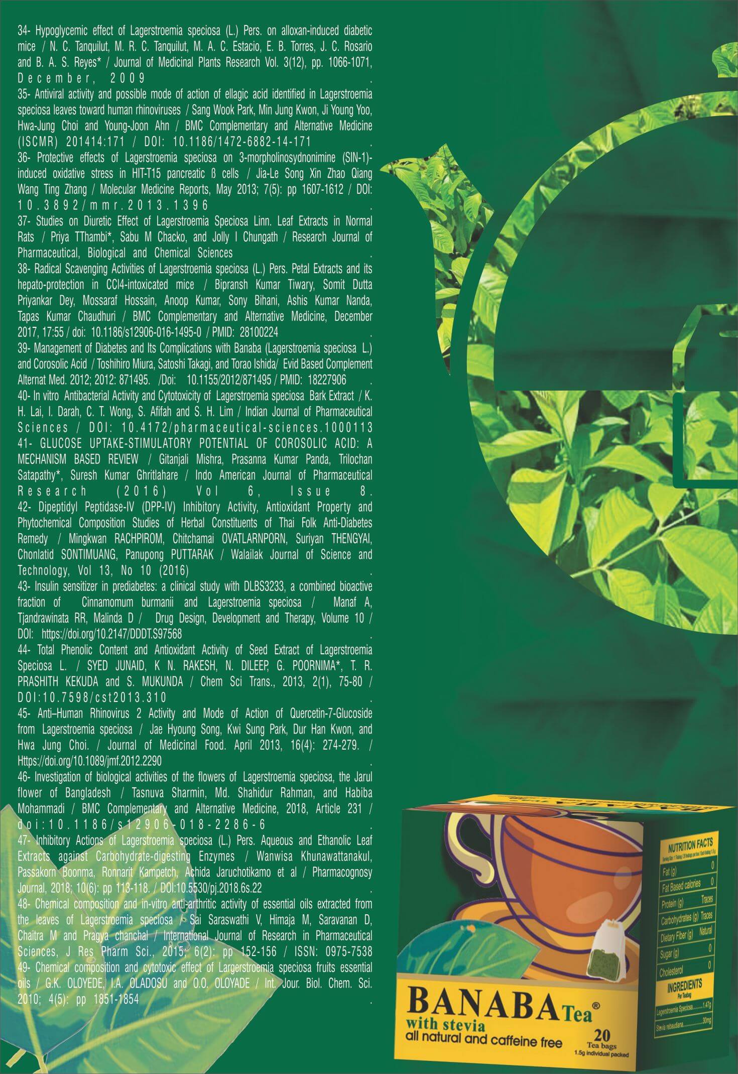 Banaba Leaves Tea with Stevia l No Additives l No Caffeine l Vegan - Premium Teas from Feel Great Tea Co. - Just 1149! Shop now at Feel Great Tea Co.