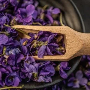 Sweet Violet Tea - Premium Teas from Feel Great Tea Co. - Just 699! Shop now at Feel Great Tea Co.