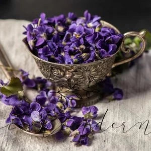 Sweet Violet Tea - Premium Teas from Feel Great Tea Co. - Just 699! Shop now at Feel Great Tea Co.