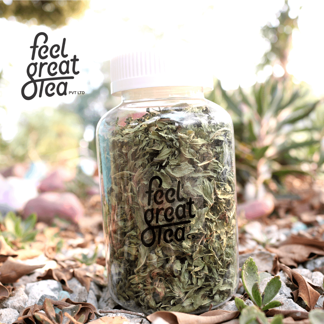 Senna Leaf Tea - Premium  from Feel Great Tea Co. - Just 499! Shop now at Feel Great Tea Co.