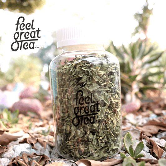 Senna Leaf Tea - Premium  from Feel Great Tea Co. - Just 499! Shop now at Feel Great Tea Co.