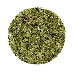 Organic Moringa Tea - Premium Wellness Tea from Feel Great Tea Co. - Just 349! Shop now at Feel Great Tea Co.