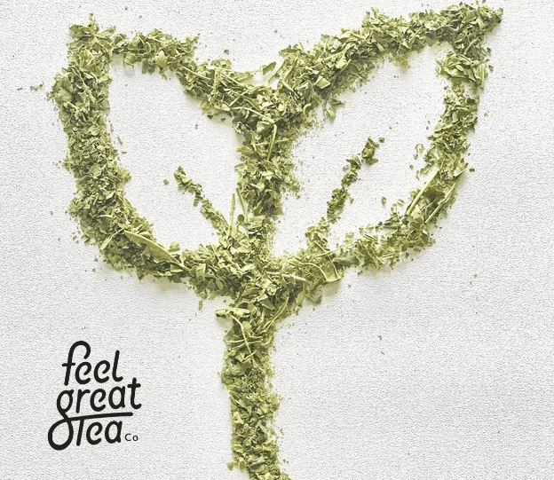 Immuni-TEA - Premium Teas from Feel Great Tea Co. - Just 999! Shop now at Feel Great Tea Co.