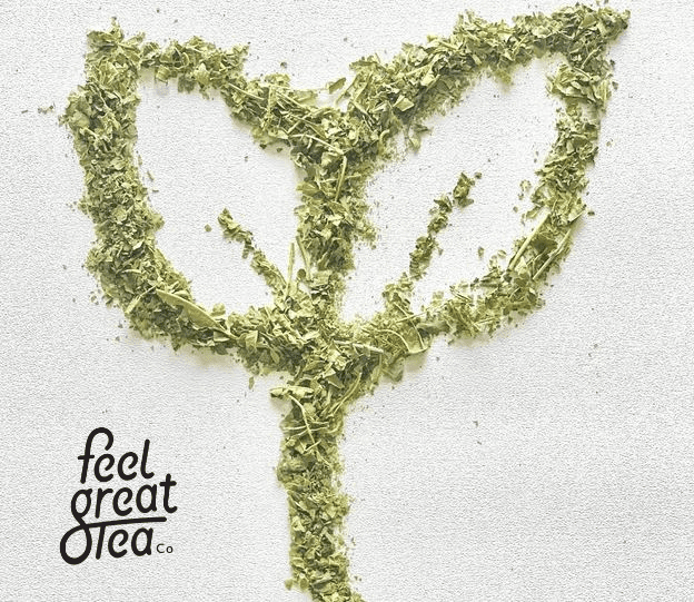 Immuni-TEA - Premium Teas from Feel Great Tea Co. - Just 1099! Shop now at Feel Great Tea Co.