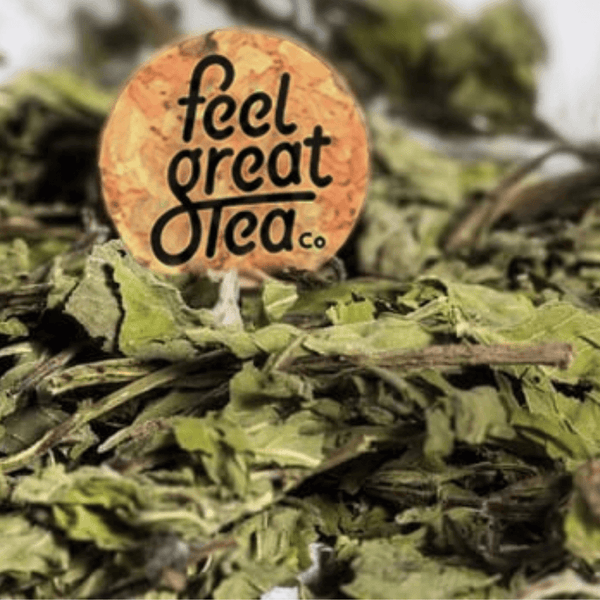Spearmint Tea - Premium Teas from Feel Great Tea Co. - Just 699! Shop now at Feel Great Tea Co.